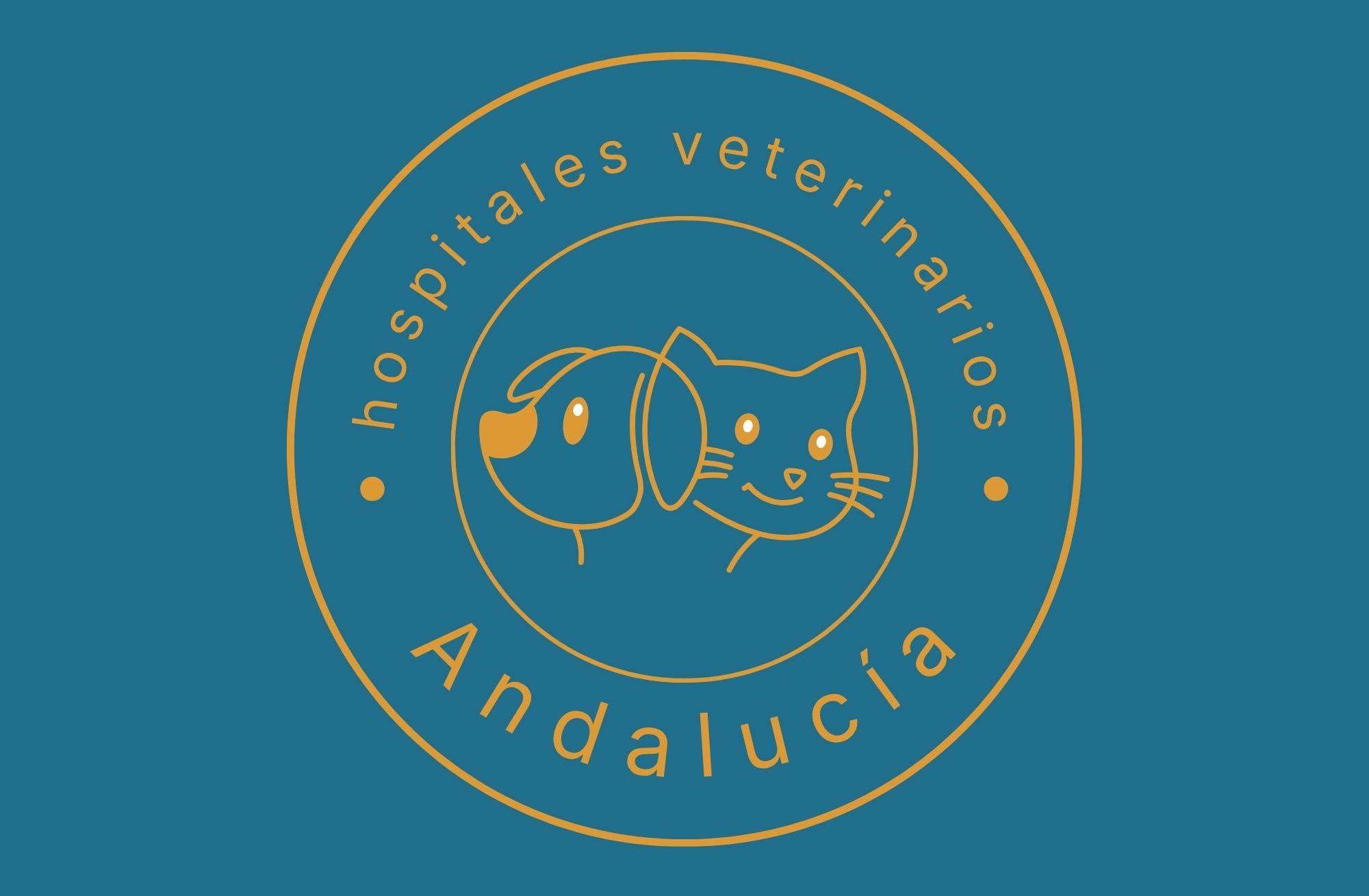 Hospitales veterinarios en Andaluc&iacute;a